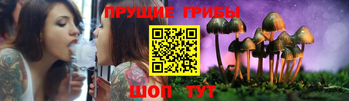 Псилоцибиновые грибы Cubensis Стерлитамак